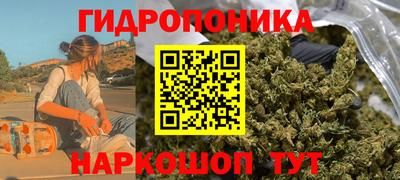 эйфоретик Гатчина