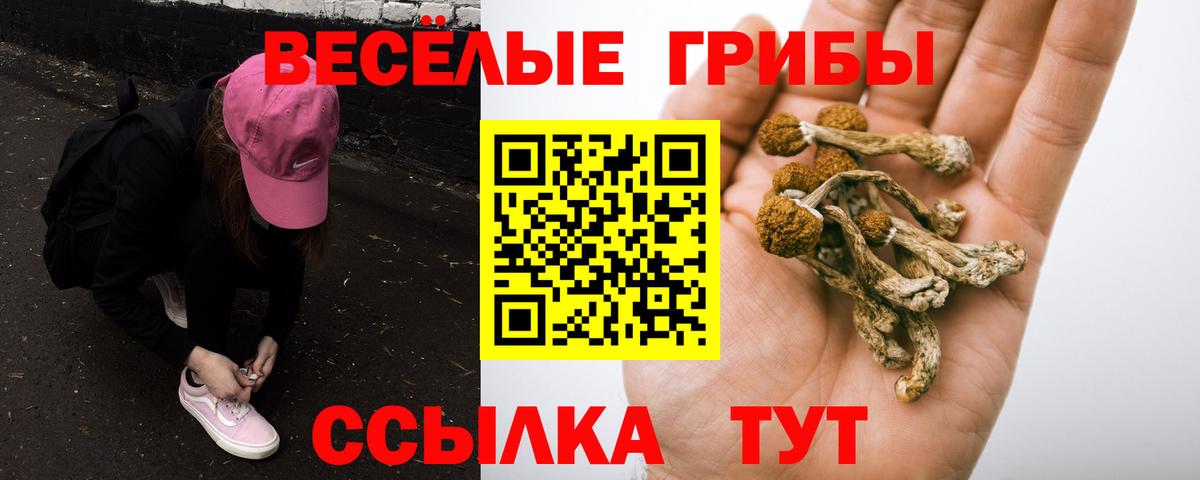 Псилоцибиновые грибы мухоморы  Вход с VPN  Псилоцибиновые грибы Psilocybine cubensis  Волгодонск 